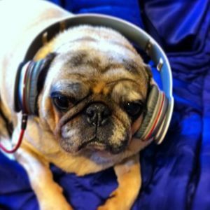 Meet your Posher, Braydon